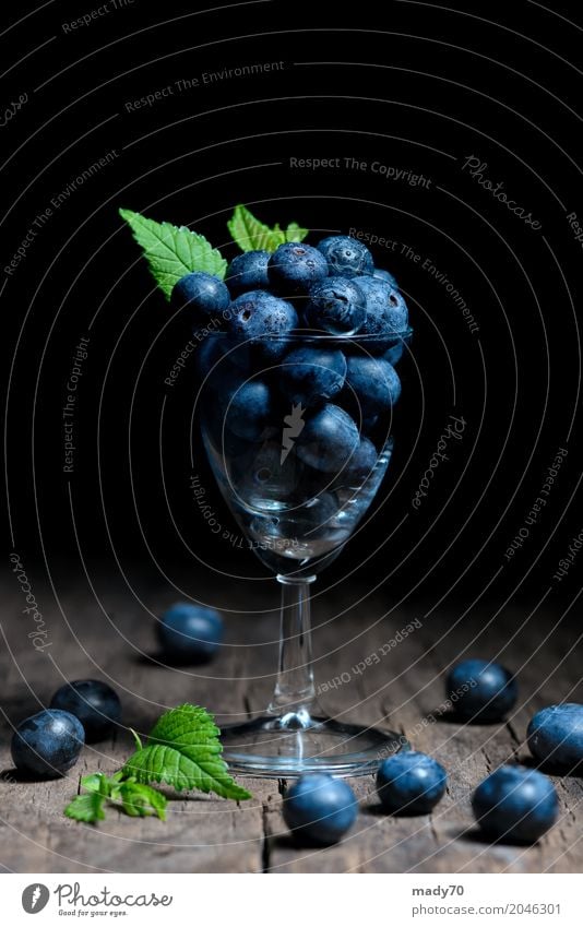 Blaubeeren mit Blättern im kleinen Glas Frucht Dessert Gesunde Ernährung Tisch Menschengruppe Natur Blatt Holz alt frisch natürlich saftig wild blau