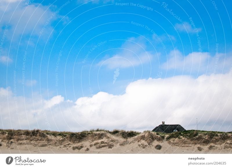 Meerblick Landschaft Himmel Wolken Gras Strandhafer Küste Sand blau grün Freiheit Dänemark Jütland Farbfoto Außenaufnahme Menschenleer Tag Sonnenlicht