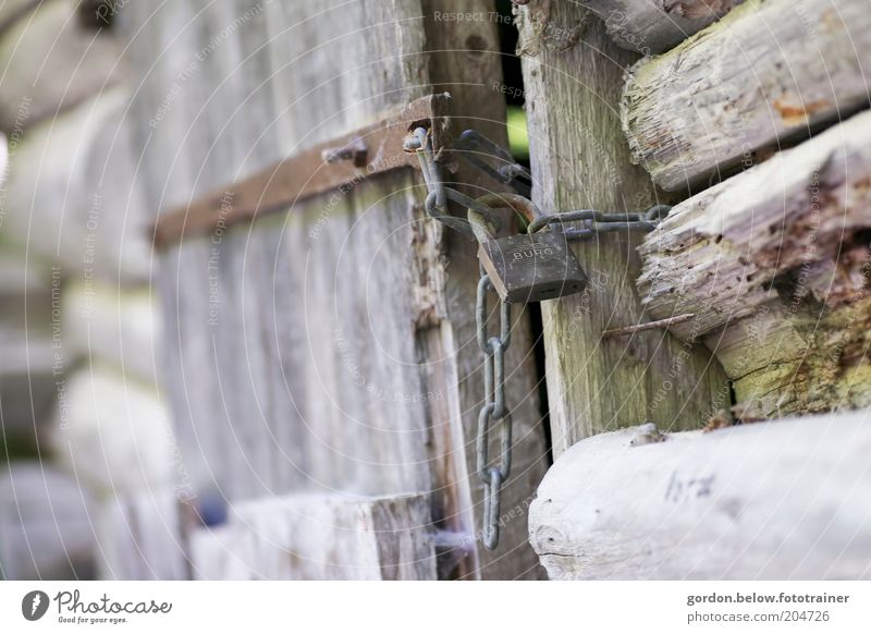 das ist mein "Schloss" Holz Schutz Farbfoto Außenaufnahme Detailaufnahme Menschenleer Unschärfe Vorhängeschloss Holztür Holzhütte Kette Türspalt Tag