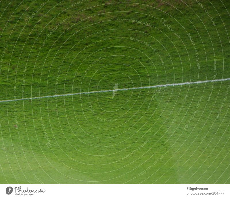 In Italien ist nichts mehr so wie es einmal war... Sportstätten Fußballplatz Rasen Farbfoto Außenaufnahme Tag Grünfläche Sportrasen Linie Spielfeldbegrenzung
