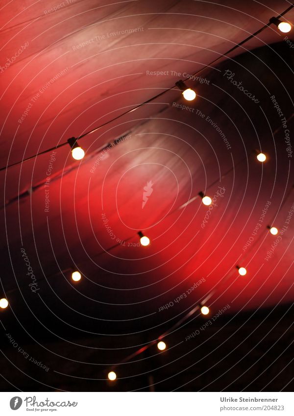 Rotes Zirkuszelt mit Glühbirnen Dach Stoff Streifen dunkel rot Nostalgie Zirkusluft Zelt Zeltdach Tuch gespannt Beleuchtung Lichterkette Reihe Punkt aufgespannt