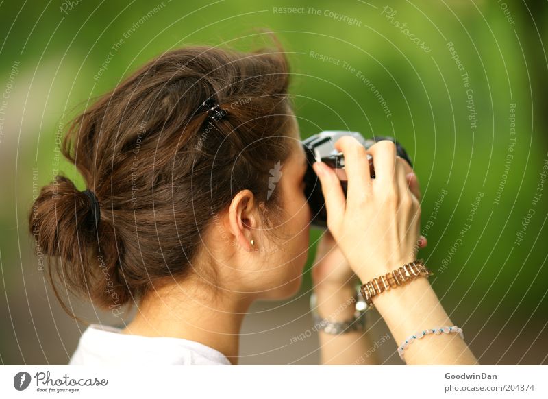 Suchend IV Mensch feminin Junge Frau Jugendliche Kopf Umwelt Natur Wetter Schönes Wetter Park wählen beobachten entdecken festhalten genießen Blick authentisch