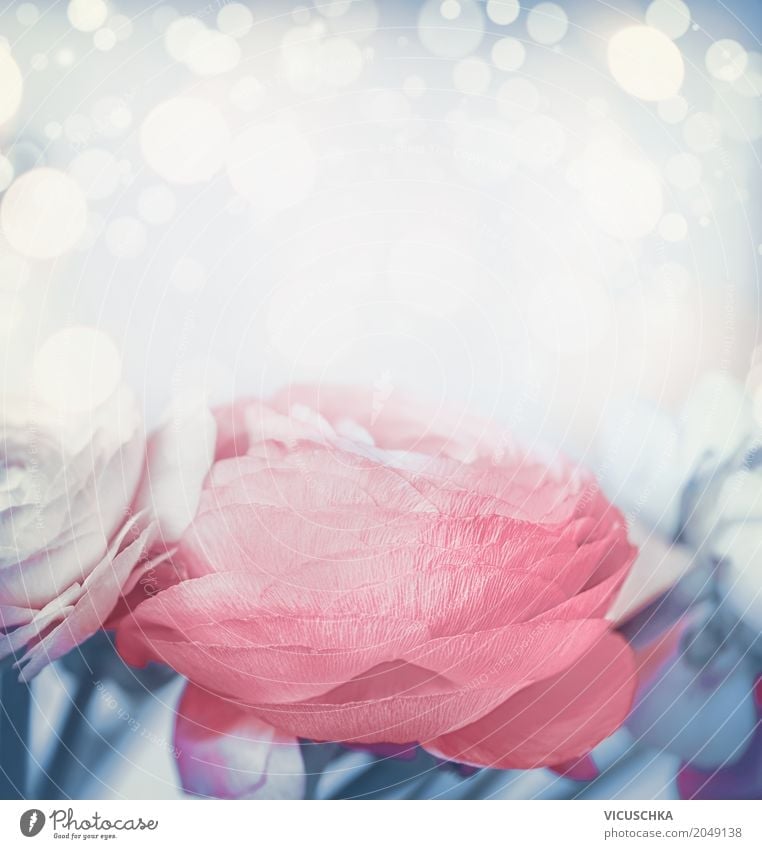 Blumen Hintergrund in Pastellton Stil Design Feste & Feiern Valentinstag Muttertag Hochzeit Geburtstag Natur Pflanze Dekoration & Verzierung Blumenstrauß Liebe