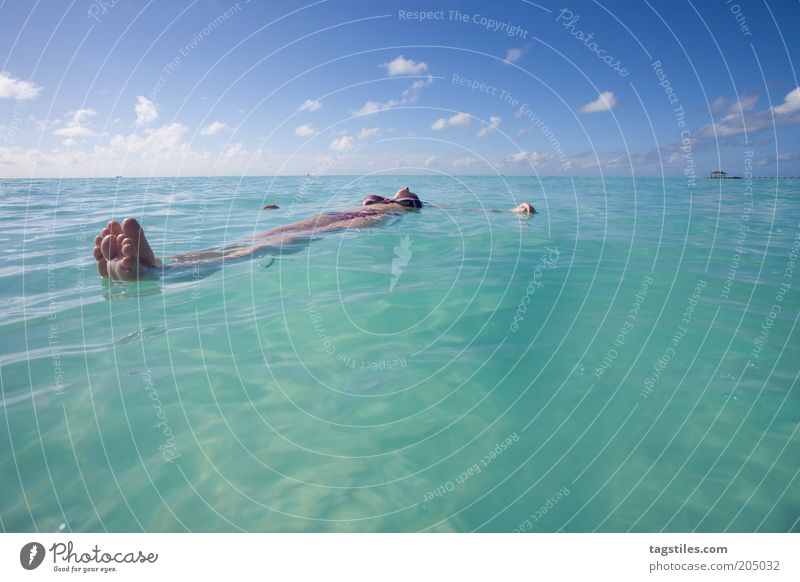 SICH TREIBEN LASSEN sich Im Wasser treiben lassen liegen Erholung Pause ruhig Malediven Frau Sommer Ferien & Urlaub & Reisen türkis Ferne Horizont Traumurlaub