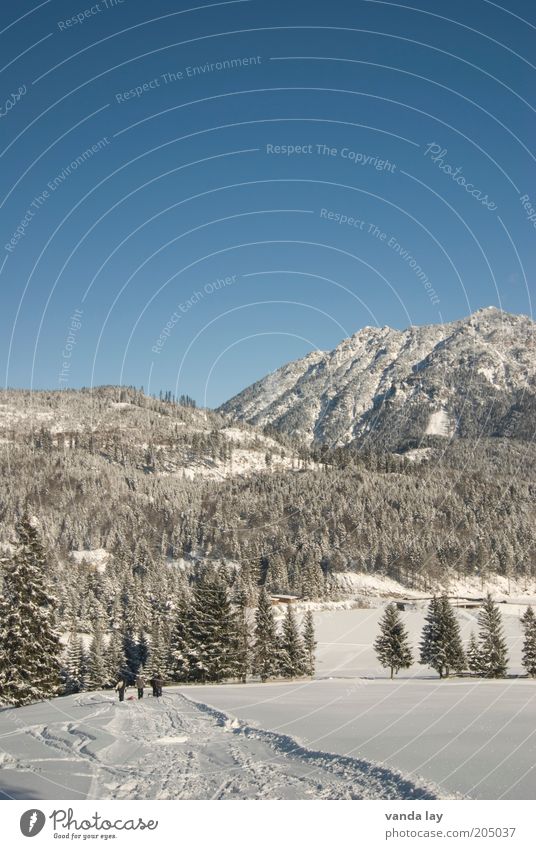 Abkühlung Umwelt Natur Landschaft Urelemente Himmel Wolkenloser Himmel Winter Schönes Wetter Schnee Wald Alpen Berge u. Gebirge Schneebedeckte Gipfel kalt weiß