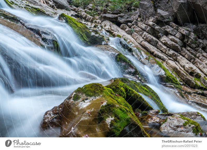 Wasserfall Umwelt Natur Landschaft Wassertropfen blau braun grau grün schwarz weiß Stein Moos Felsen Schweben Langzeitbelichtung Schweiz nass kalt Farbfoto