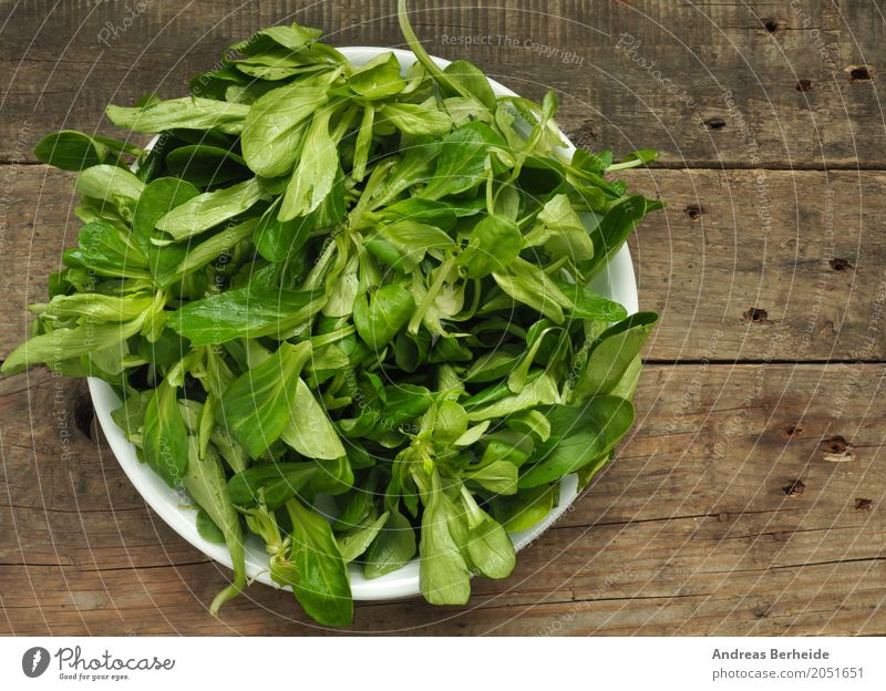 Bio Feldsalat Salat Salatbeilage Bioprodukte Vegetarische Ernährung Lifestyle lecker Gesundheit lettuce salad lambs mache organic table green Blattsalat food