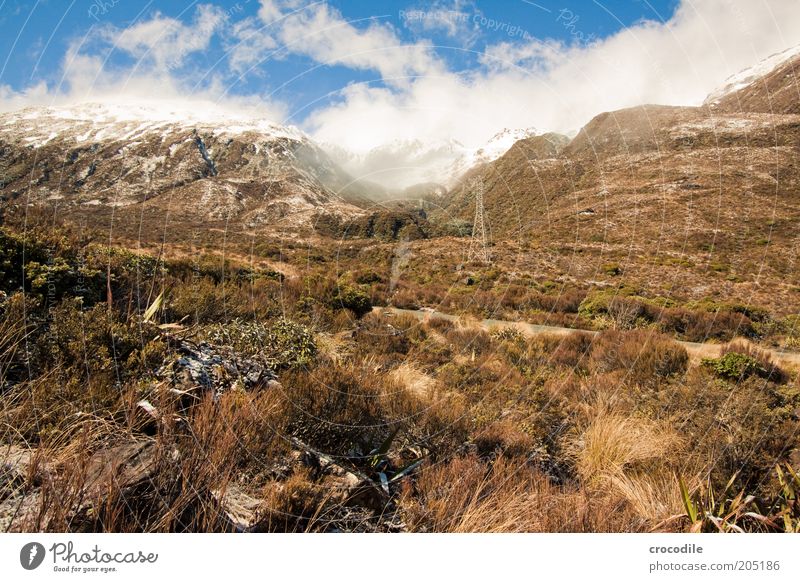 New Zealand 129 Umwelt Natur Landschaft Urelemente Schönes Wetter Schnee Pflanze Gras Sträucher Alpen Berge u. Gebirge Gipfel Schneebedeckte Gipfel