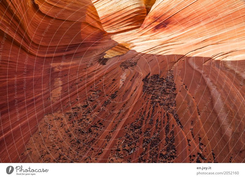 Sandstein Umwelt Natur Landschaft Klimawandel Felsen Schlucht Wüste Utah Arizona USA Amerika Nordamerika außergewöhnlich orange bizarr einzigartig