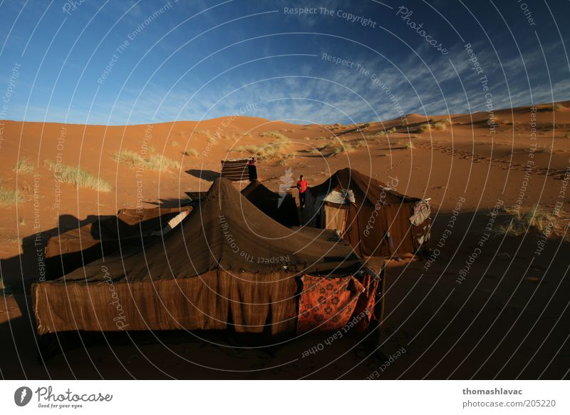 Lager in der Sahara-Wüste in Marokko Ferien & Urlaub & Reisen Tourismus Ausflug Abenteuer Camping 1 Mensch Umwelt Natur Landschaft Sand Himmel Schönes Wetter