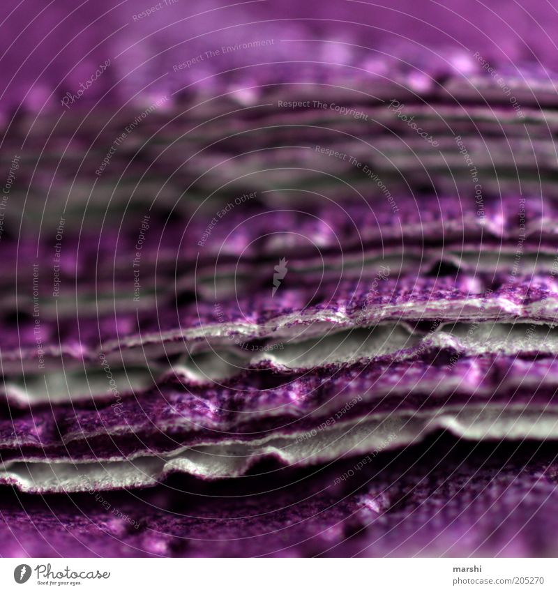 III violett Serviette Stoff Papier Material Unschärfe Stapel Bildausschnitt Dekoration & Verzierung Strukturen & Formen abstrakt Detailaufnahme Farbfoto Haufen