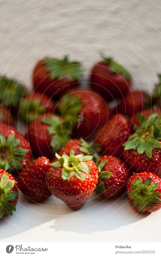 endlich erdbeeren Lebensmittel Frucht Dessert Erdbeeren Picknick Bioprodukte Fasten Fingerfood Gesundheit Duft frisch lecker süß grün rot weiß fruchtig Farbfoto