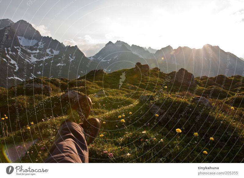 abends halb zehn im Lechtal Abenteuer Ferne Freiheit Sommer Berge u. Gebirge wandern Beine Fuß 1 Mensch Natur Landschaft Pflanze Schönes Wetter Blume Gras Wiese