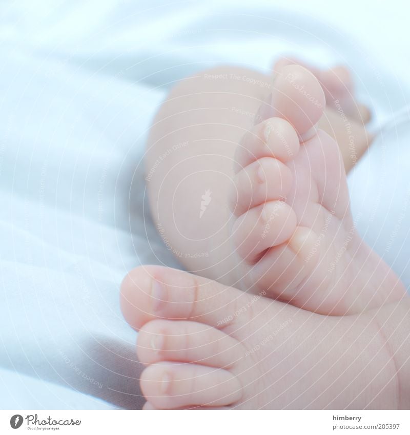 downtime Stil schön Gesundheit Leben Wohlgefühl Zufriedenheit Erholung ruhig Mensch Baby Fuß 0-12 Monate Beginn unschuldig Wachstum neugeboren rein Farbfoto