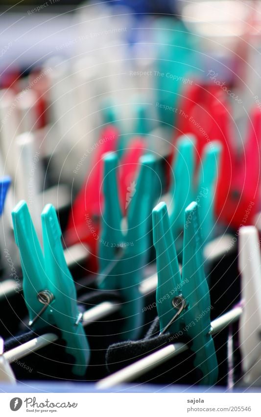 waschtag festhalten hängen blau grün rot weiß Wäsche Wäscheleine Wäscheklammern trocknen Licht Alltagsfotografie Waschtag Farbfoto Außenaufnahme Nahaufnahme