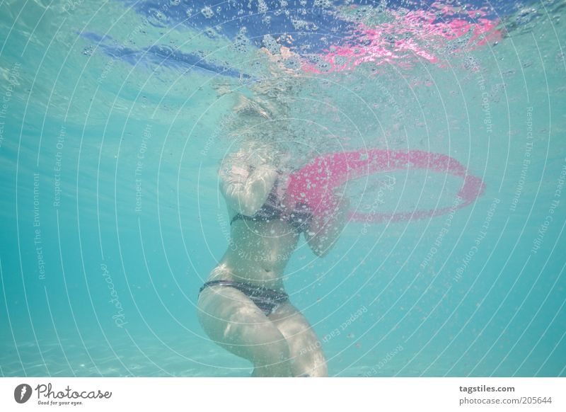 HAIPERSPEKTIVE Erholung Schwimmen & Baden Ferien & Urlaub & Reisen Tourismus Freiheit Meer Frau Erwachsene Wasser Bikini dünn unten rosa Perspektive