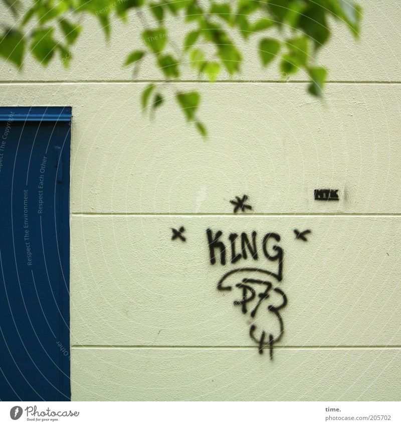 Wir haben einen neuen Bundes-Wulle! Tür Graffiti Blatt Baum Tagger gesprüht King parallel grün blau Außenaufnahme Stern (Symbol) Buchstaben Zeichen Eingang