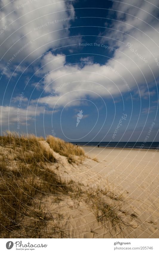 ostsee Ferien & Urlaub & Reisen Sommer Sommerurlaub Strand Meer Insel Umwelt Natur Landschaft Urelemente Sand Wasser Himmel Schönes Wetter Küste Ostsee blau