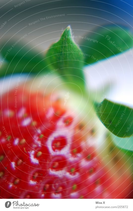 Erdbeere Lebensmittel Frucht Ernährung Bioprodukte Sommer Blatt frisch Gesundheit lecker saftig süß rot reif Erdbeeren Beeren Farbfoto mehrfarbig Nahaufnahme