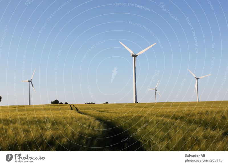 Lieber Spargel in der Luft als Atom im Blut Energiewirtschaft Fortschritt Zukunft Erneuerbare Energie Windkraftanlage Umwelt Wolkenloser Himmel Sommer
