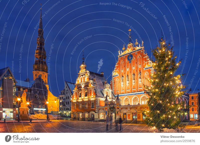 Weihnachtsbaum auf Rathausplatz in Riga Ferien & Urlaub & Reisen Tourismus Winter Haus Dekoration & Verzierung Weihnachten & Advent Baum Ostsee Stadt Kirche
