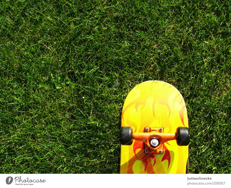 Board on Green Sommer Sport Skateboard Jugendkultur Garten Wiese gelb grün stagnierend Rad Kugellager Skateboarding Farbfoto Außenaufnahme Menschenleer