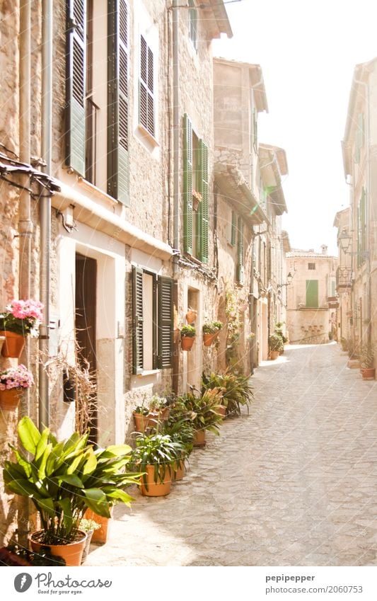 Mallorca Ferien & Urlaub & Reisen Tourismus Ausflug Sommerurlaub Häusliches Leben Haus Dorf Altstadt Gebäude Mauer Wand Balkon Terrasse Fenster Tür Dach