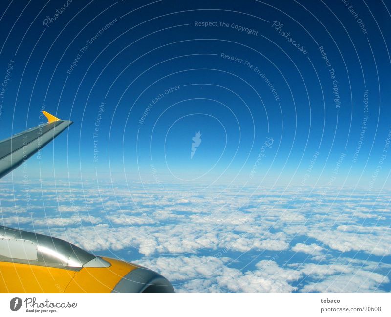 Über den Wolken Tragfläche Flugzeug Luftverkehr Himmel blau