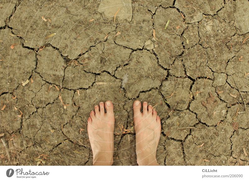 Sommererde Haut Fuß 1 Mensch Umwelt Natur Urelemente Erde Klima Klimawandel Wärme Dürre Fußspur berühren entdecken gehen dehydrieren Nackte Haut Barfuß Riss