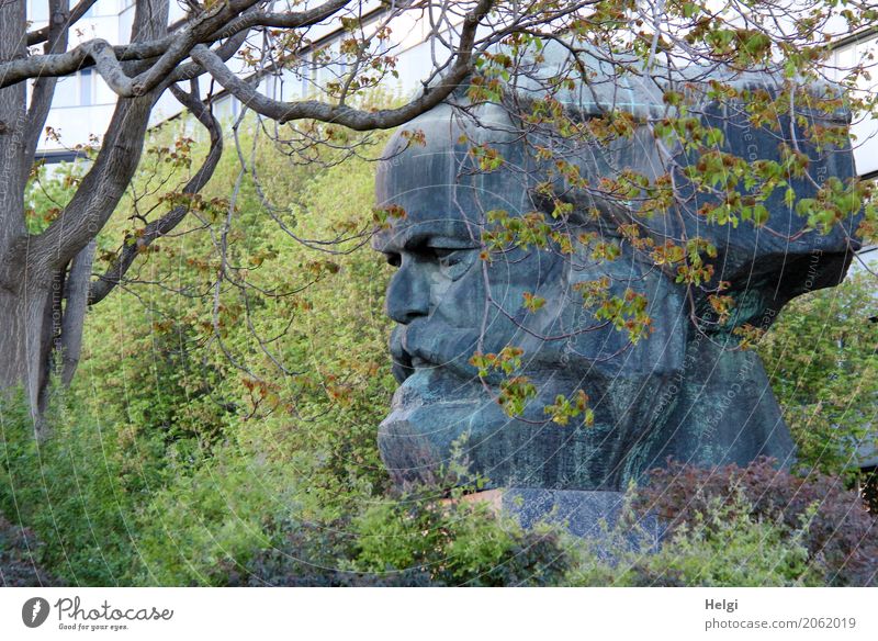 AST 10 | Karl im Grünen Umwelt Natur Pflanze Frühling Baum Chemnitz Sehenswürdigkeit Wahrzeichen Denkmal Karl Marx Statue Skulptur stehen Wachstum einzigartig