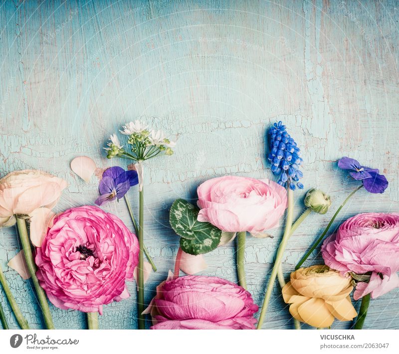 Blumen auf blauem Hintergrund Lifestyle Stil Design Dekoration & Verzierung Valentinstag Muttertag Hochzeit Geburtstag Natur Pflanze Rose Blüte Blumenstrauß