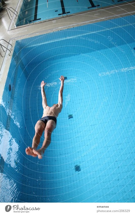 somersault straight Stil Freude Schwimmen & Baden Freizeit & Hobby Sport Wassersport Sportler tauchen Schwimmbad Mensch maskulin Mann Erwachsene Jugendliche