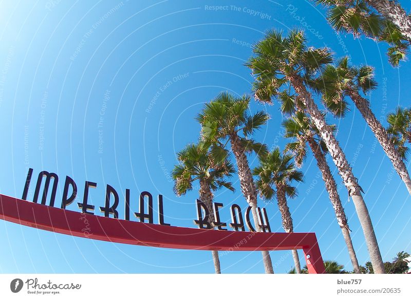 Imperial Beach Kalifornien Palme Buchstaben rot grün Fischauge Weitwinkel Freizeit & Hobby USA Schriftzeichen Himmel Schönes Wetter blau
