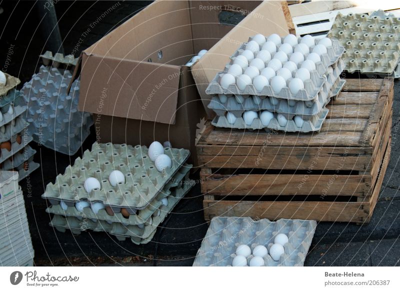 Herr Meier, was kosten die Eier? Lebensmittel Ernährung Bioprodukte Verpackung frisch natürlich weiß Natur Qualität Eierschale Eierkarton Markttag Marktstand