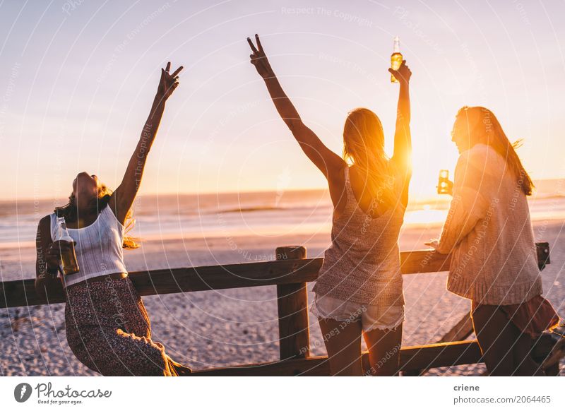 Gruppe glückliche Freunde, die mit Getränken im Sonnenuntergang feiern trinken Alkohol Bier Flasche Lifestyle Freude Ferien & Urlaub & Reisen Freiheit Sommer