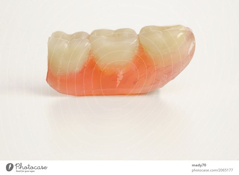 Drei Prothesenzähne getrennt auf weißem Hintergrund Gesundheitswesen Medikament Labor Mensch Zähne Brücke frei falsch drei Prothetik vereinzelt künstlich