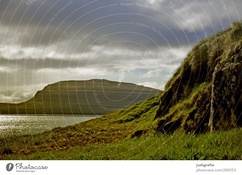 Färöer Umwelt Natur Landschaft Pflanze Wasser Himmel Wolken Klima Gras Hügel Felsen Berge u. Gebirge Meer Atlantik Tórshavn Føroyar natürlich Stimmung