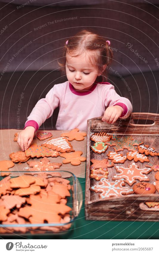 Kleines Mädchen, das Weihnachtslebkuchen auf hölzernen Behälter setzt Lifestyle Dekoration & Verzierung Tisch Feste & Feiern Weihnachten & Advent Kind Mensch