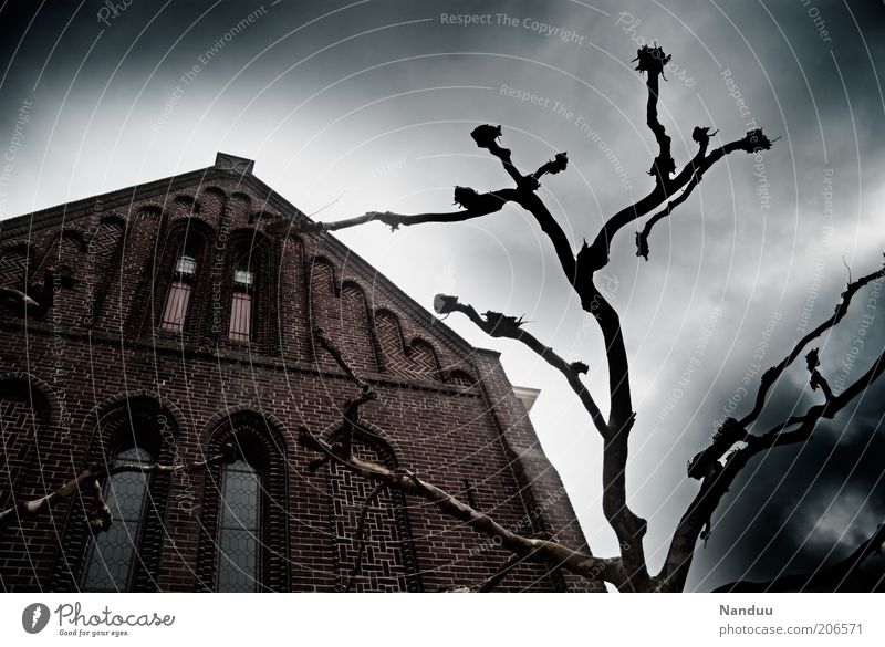 Die dunkle Seite der Macht Kirche Bauwerk bedrohlich dunkel gruselig Angst Baum beschnitten eigenwillig aufwärts himmelwärts Fassade unheimlich geheimnisvoll