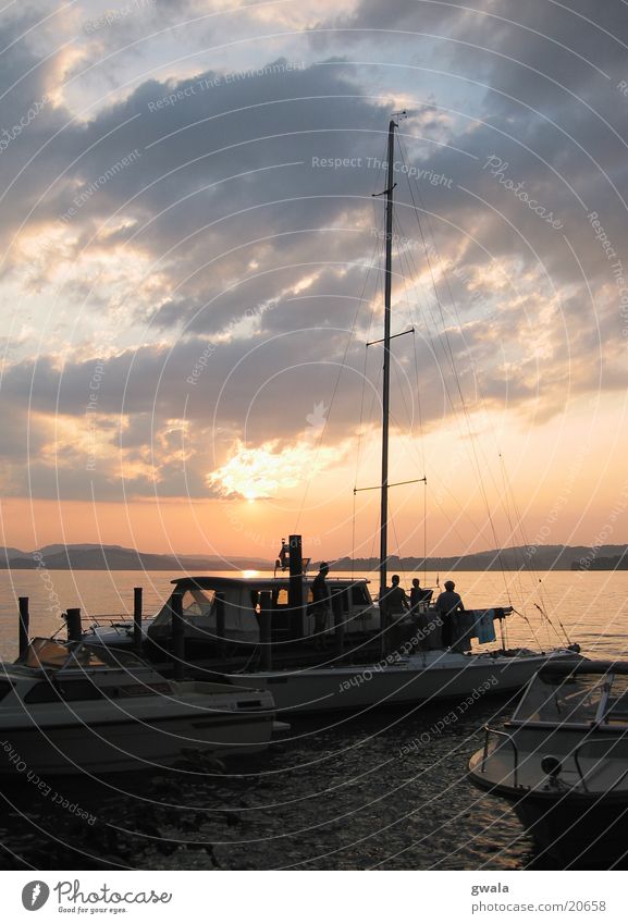 segelmontag Segelschiff Regatta Vierwaldstätter See Sonnenuntergang Wasserfahrzeug Segeln Abendsonne