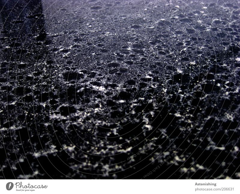 Staub Natur Urelemente Wasser Regen dunkel grau schwarz weiß Punkt Reflexion & Spiegelung Oberfläche Regenwasser Detailaufnahme Nahaufnahme getrocknet
