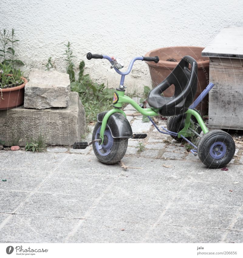 tricycle Topfpflanze Fassade Dreirad Stein grün violett Farbfoto Außenaufnahme Menschenleer Textfreiraum unten Tag Steinboden Spielzeug Hinterhof parken