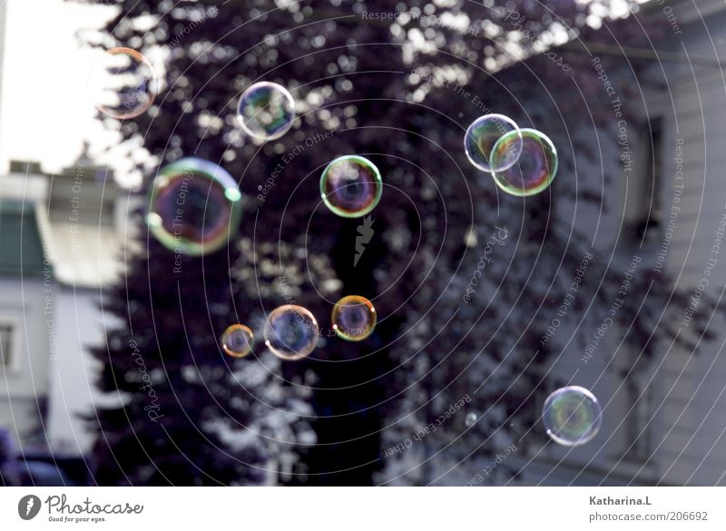 bubbles Kugel glänzend nass natürlich neu oben rund Seifenblase Außenaufnahme Menschenleer Tag Reflexion & Spiegelung Unschärfe Schweben Schwerelosigkeit