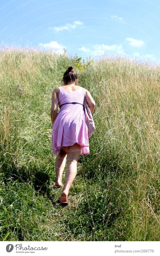 In den Himmel tauchen feminin Junge Frau Jugendliche 1 Mensch Natur Landschaft Pflanze Sommer Schönes Wetter Gras Sträucher Hügel Kleid brünett Zopf Bewegung