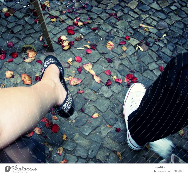 hochzeit? Feste & Feiern maskulin feminin Freundschaft Paar Partner Beine Fuß 2 Mensch Blütenblatt Schuhe Turnschuh verblüht gelb rot Frühlingsgefühle Treue