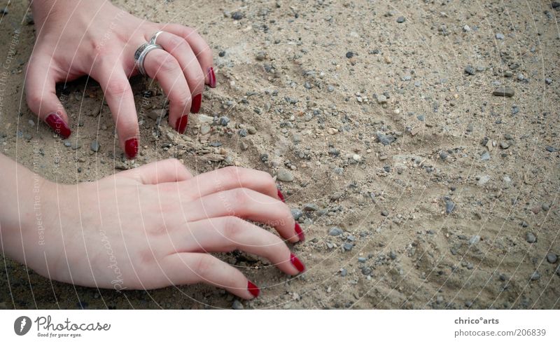 need help? Mensch feminin Frau Erwachsene Haut Arme Hand Finger Fingernagel 1 Erde Sand krabbeln machen zeichnen unten grau rot anstrengen Farbfoto