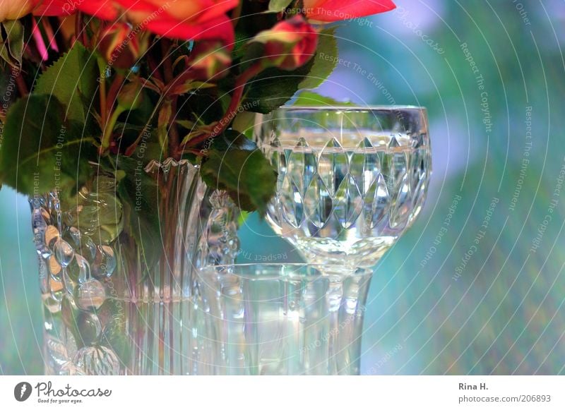 Still im Gegenlicht Erfrischungsgetränk Glas Rose ästhetisch positiv blau grün rot Stimmung Lebensfreude Wasser Stillleben Vase Farbfoto Außenaufnahme