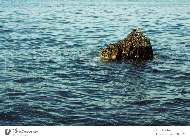 felsen im meer Sommer Meer Insel Wellen Wasser Schönes Wetter nass blau braun Zufriedenheit Einsamkeit Stein Felsen Kroatien Farbfoto Außenaufnahme Tag