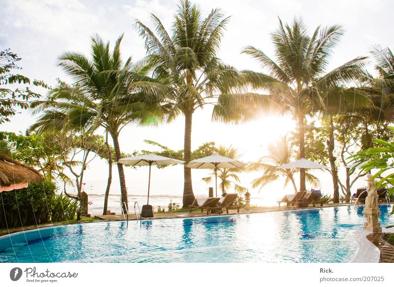 .Bali Sunset exotisch Wellness Wohlgefühl Erholung ruhig Spa Sommer Sommerurlaub Sonne Meer Insel Indonesien Wasser genießen Ferien & Urlaub & Reisen Reichtum