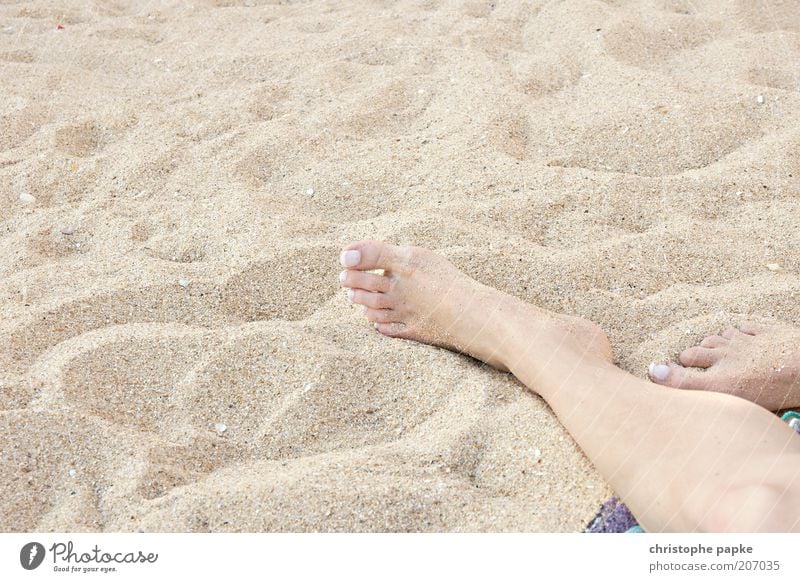 Pure Summerfeeling Wohlgefühl Zufriedenheit Erholung Ferien & Urlaub & Reisen Tourismus Sommer Sommerurlaub Sonnenbad Strand Junge Frau Jugendliche Fuß Sand